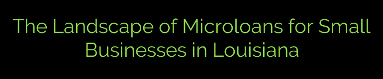 The Landscape of Microloans for Small Businesses in Louisiana